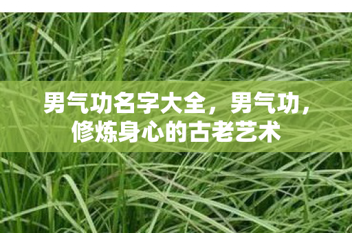 男气功名字大全,男气功,修炼身心的古老艺术 男气功名字大全,男气功,修炼身心的古老艺术