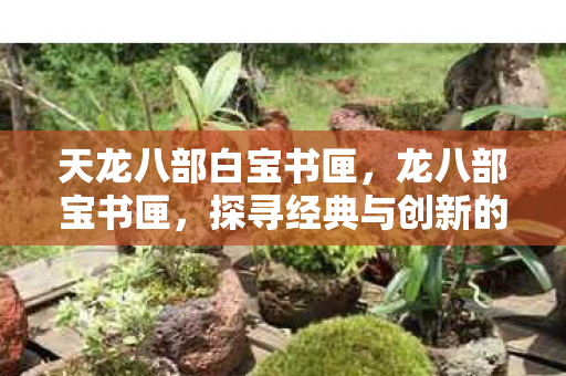 天龙八部白宝书匣,龙八部宝书匣,探寻经典与创新的交汇点 天龙八部白宝书匣,龙八部宝书匣,探寻经典与创新的交汇点