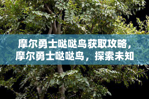 摩尔勇士哒哒鸟获取攻略,摩尔勇士哒哒鸟,探索未知世界的奇妙旅程 摩尔勇士哒哒鸟获取攻略,摩尔勇士哒哒鸟,探索未知世界的奇妙旅程