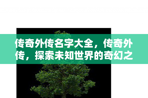 传奇外传名字大全,传奇外传,探索未知世界的奇幻之旅 传奇外传名字大全,传奇外传,探索未知世界的奇幻之旅