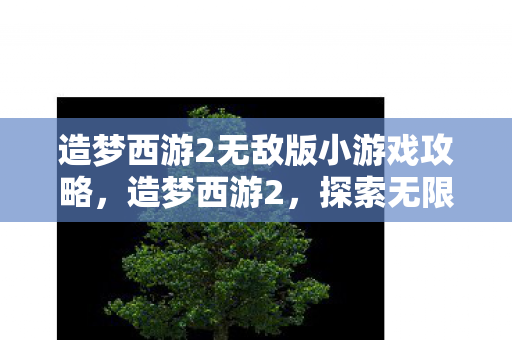 造梦西游2无敌版小游戏攻略，造梦西游2，探索无限可能的冒险之旅