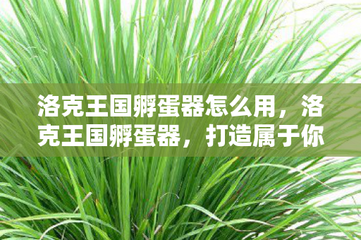 洛克王国孵蛋器怎么用,洛克王国孵蛋器,打造属于你的魔法王国 洛克王国孵蛋器怎么用,洛克王国孵蛋器,打造属于你的魔法王国