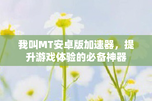 我叫MT安卓版加速器，提升游戏体验的必备神器
