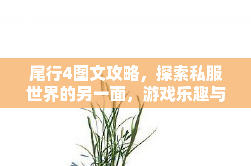 尾行4图文攻略,探索私服世界的另一面,游戏乐趣与社区文化的独特魅力 尾行4图文攻略,探索私服世界的另一面,游戏乐趣与社区文化的独特魅力