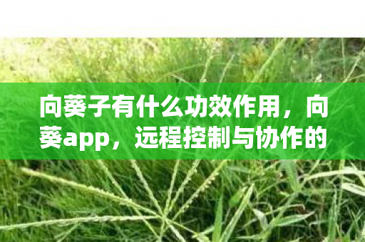 向葵子有什么功效作用,向葵app,远程控制与协作的便捷工具 向葵子有什么功效作用,向葵app,远程控制与协作的便捷工具
