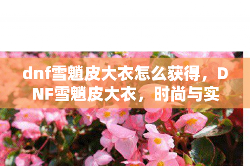 dnf雪魈皮大衣怎么获得，DNF雪魈皮大衣，时尚与实用的完美结合