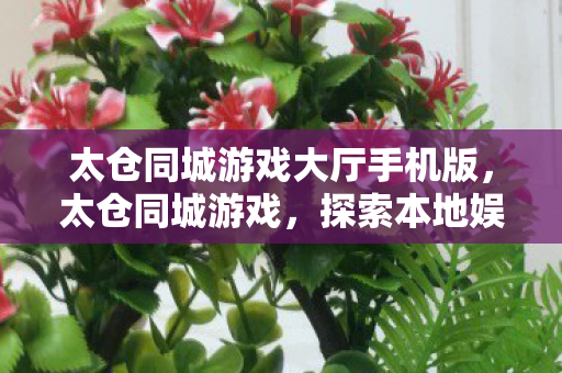 太仓同城游戏大厅手机版，太仓同城游戏，探索本地娱乐新风尚