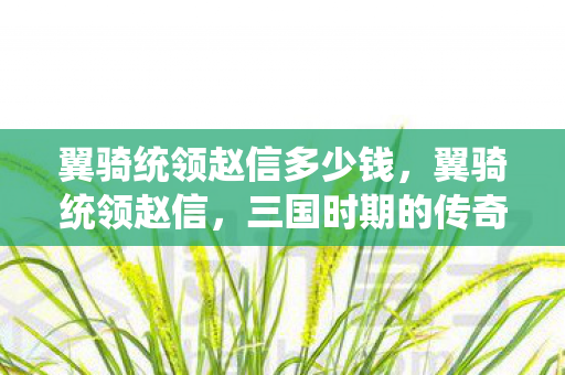 翼骑统领赵信多少钱,翼骑统领赵信,三国时期的传奇骑兵将领 翼骑统领赵信多少钱,翼骑统领赵信,三国时期的传奇骑兵将领