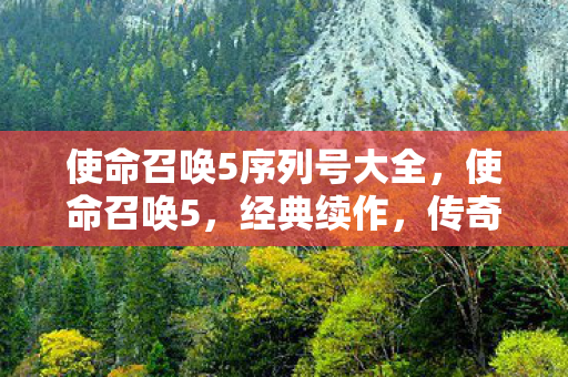 使命召唤5序列号大全，使命召唤5，经典续作，传奇再续