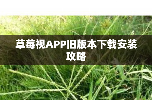 草莓视APP旧版本下载安装攻略 草莓视APP旧版本下载安装攻略