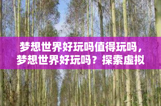 梦想世界好玩吗值得玩吗,梦想世界好玩吗?探索虚拟世界的无限乐趣 梦想世界好玩吗值得玩吗,梦想世界好玩吗?探索虚拟世界的无限乐趣