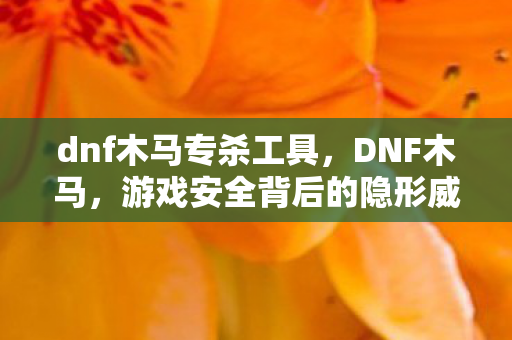 dnf木马专杀工具,DNF木马,游戏安全背后的隐形威胁 dnf木马专杀工具,DNF木马,游戏安全背后的隐形威胁