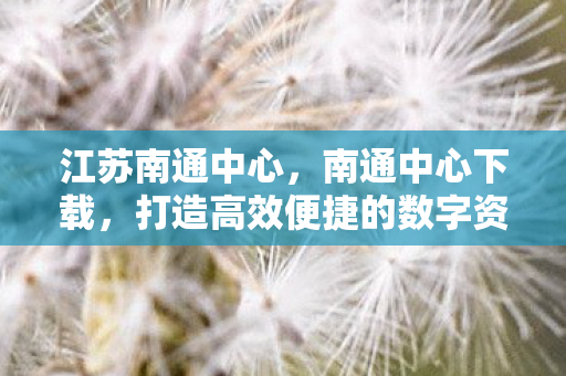 江苏南通中心，南通中心下载，打造高效便捷的数字资源获取平台