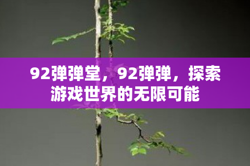 92弹弹堂，92弹弹，探索游戏世界的无限可能