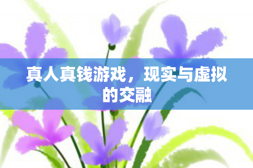 真人真钱游戏,现实与虚拟的交融 真人真钱游戏,现实与虚拟的交融