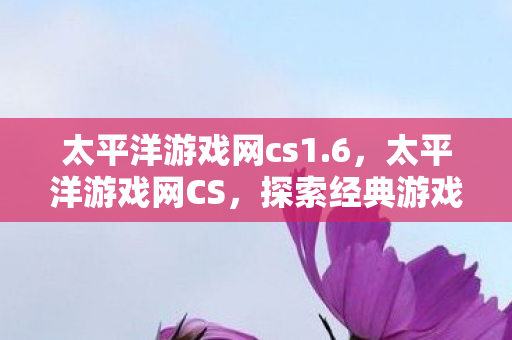 太平洋游戏网cs1.6，太平洋游戏网CS，探索经典游戏的新玩法与社区文化