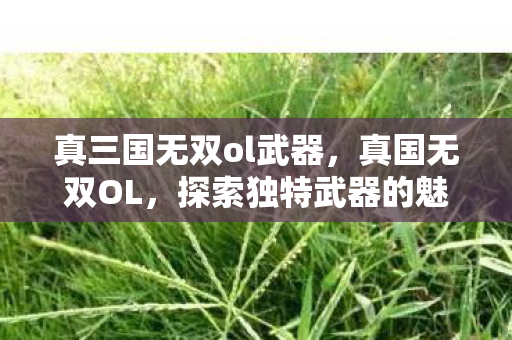 真三国无双ol武器,真国无双OL,探索独特武器的魅力 真三国无双ol武器,真国无双OL,探索独特武器的魅力