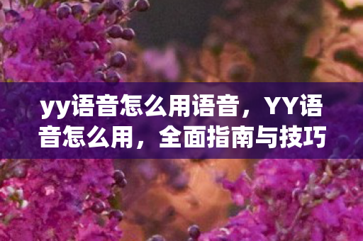 yy语音怎么用语音,YY语音怎么用,全面指南与技巧分享 yy语音怎么用语音,YY语音怎么用,全面指南与技巧分享