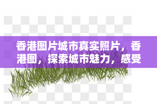 香港图片城市真实照片,香港图,探索城市魅力,感受东西方文化交融 香港图片城市真实照片,香港图,探索城市魅力,感受东西方文化交融