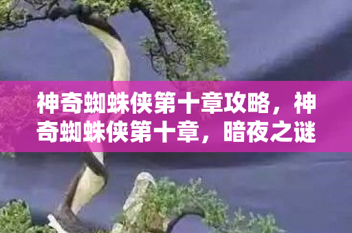 神奇蜘蛛侠第十章攻略,神奇蜘蛛侠第十章,暗夜之谜 神奇蜘蛛侠第十章攻略,神奇蜘蛛侠第十章,暗夜之谜
