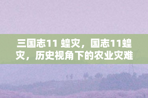 三国志11 蝗灾，国志11蝗灾，历史视角下的农业灾难与应对