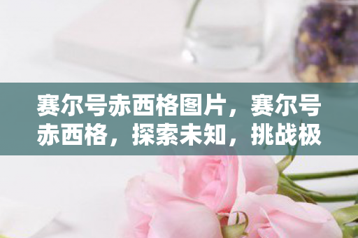 赛尔号赤西格图片,赛尔号赤西格,探索未知,挑战极限 赛尔号赤西格图片,赛尔号赤西格,探索未知,挑战极限