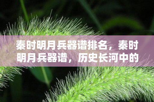 秦时明月兵器谱排名，秦时明月兵器谱，历史长河中的冷兵器传奇