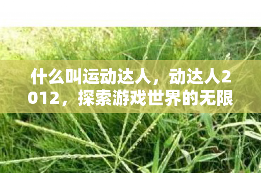 什么叫运动达人,动达人2012,探索游戏世界的无限可能 什么叫运动达人,动达人2012,探索游戏世界的无限可能