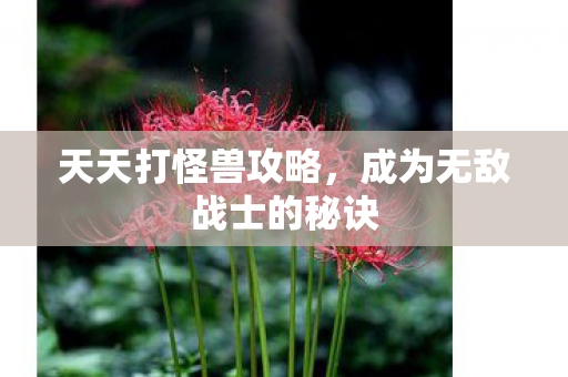 天天打怪兽攻略,成为无敌战士的秘诀 天天打怪兽攻略,成为无敌战士的秘诀