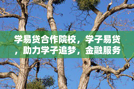 学易贷合作院校,学子易贷,助力学子追梦,金融服务的温暖力量 学易贷合作院校,学子易贷,助力学子追梦,金融服务的温暖力量