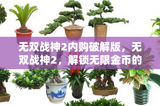 无双战神2内购破解版,无双战神2,解锁无限金币的终极攻略 无双战神2内购破解版,无双战神2,解锁无限金币的终极攻略
