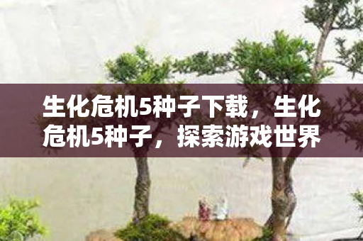 生化危机5种子下载,生化危机5种子,探索游戏世界的无限可能 生化危机5种子下载,生化危机5种子,探索游戏世界的无限可能