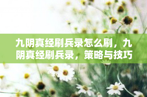 九阴真经刷兵录怎么刷,九阴真经刷兵录,策略与技巧的深度剖析 九阴真经刷兵录怎么刷,九阴真经刷兵录,策略与技巧的深度剖析