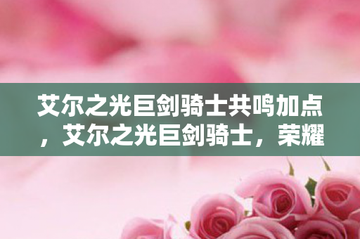 艾尔之光巨剑骑士共鸣加点,艾尔之光巨剑骑士,荣耀与力量的象征 艾尔之光巨剑骑士共鸣加点,艾尔之光巨剑骑士,荣耀与力量的象征