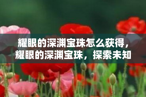 耀眼的深渊宝珠怎么获得，耀眼的深渊宝珠，探索未知世界的神秘钥匙