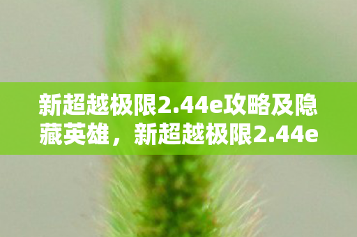 新超越极限2.44e攻略及隐藏英雄,新超越极限2.44e攻略,掌握游戏精髓,挑战极限 新超越极限2.44e攻略及隐藏英雄,新超越极限2.44e攻略,掌握游戏精髓,挑战极限
