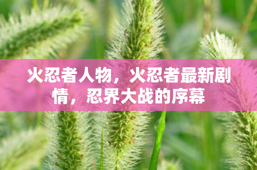 火忍者人物,火忍者最新剧情,忍界大战的序幕 火忍者人物,火忍者最新剧情,忍界大战的序幕