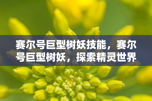 赛尔号巨型树妖技能,赛尔号巨型树妖,探索精灵世界的神秘守护者 赛尔号巨型树妖技能,赛尔号巨型树妖,探索精灵世界的神秘守护者