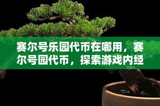 赛尔号乐园代币在哪用，赛尔号园代币，探索游戏内经济的新维度