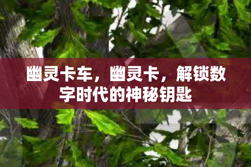 幽灵卡车,幽灵卡,解锁数字时代的神秘钥匙 幽灵卡车,幽灵卡,解锁数字时代的神秘钥匙