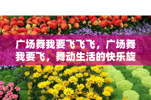 广场舞我要飞飞飞,广场舞我要飞,舞动生活的快乐旋律 广场舞我要飞飞飞,广场舞我要飞,舞动生活的快乐旋律