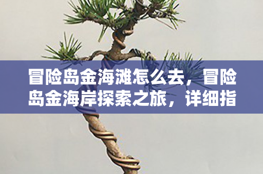 冒险岛金海滩怎么去,冒险岛金海岸探索之旅,详细指南与体验分享 冒险岛金海滩怎么去,冒险岛金海岸探索之旅,详细指南与体验分享