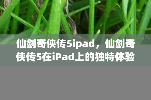 仙剑奇侠传5ipad,仙剑奇侠传5在iPad上的独特体验 仙剑奇侠传5ipad,仙剑奇侠传5在iPad上的独特体验