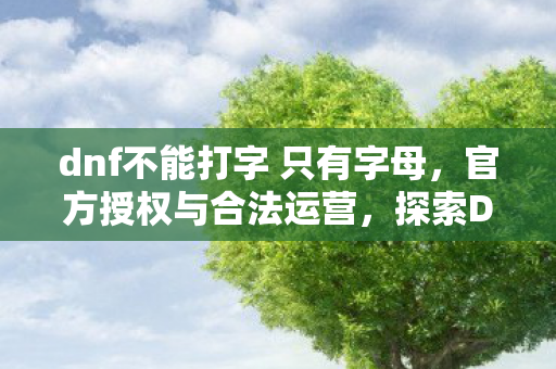 dnf不能打字 只有字母,官方授权与合法运营,探索DNF的正规之路 dnf不能打字 只有字母,官方授权与合法运营,探索DNF的正规之路