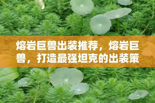 熔岩巨兽出装推荐，熔岩巨兽，打造最强坦克的出装策略
