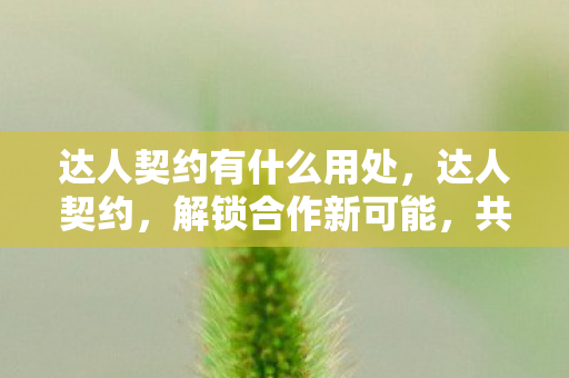 达人契约有什么用处,达人契约,解锁合作新可能,共创双赢新局面 达人契约有什么用处,达人契约,解锁合作新可能,共创双赢新局面