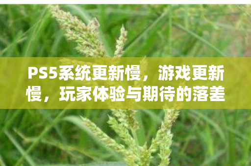 PS5系统更新慢，游戏更新慢，玩家体验与期待的落差