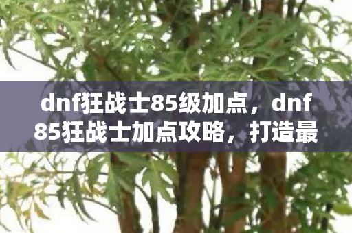 dnf狂战士85级加点，dnf85狂战士加点攻略，打造最强战斗力的加点方案