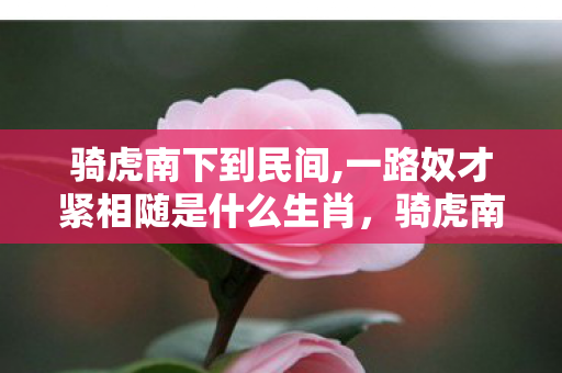 骑虎南下到民间,一路奴才紧相随是什么生肖,骑虎南下,探索游戏世界的无限可能 骑虎南下到民间,一路奴才紧相随是什么生肖,骑虎南下,探索游戏世界的无限可能