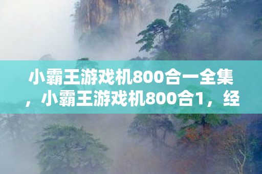 小霸王游戏机800合一全集,小霸王游戏机800合1,经典回忆与现代科技的碰撞 小霸王游戏机800合一全集,小霸王游戏机800合1,经典回忆与现代科技的碰撞